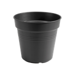 green basics growpot 11cm living black
